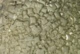 Natural Pyrite Concretion - China #142967-1